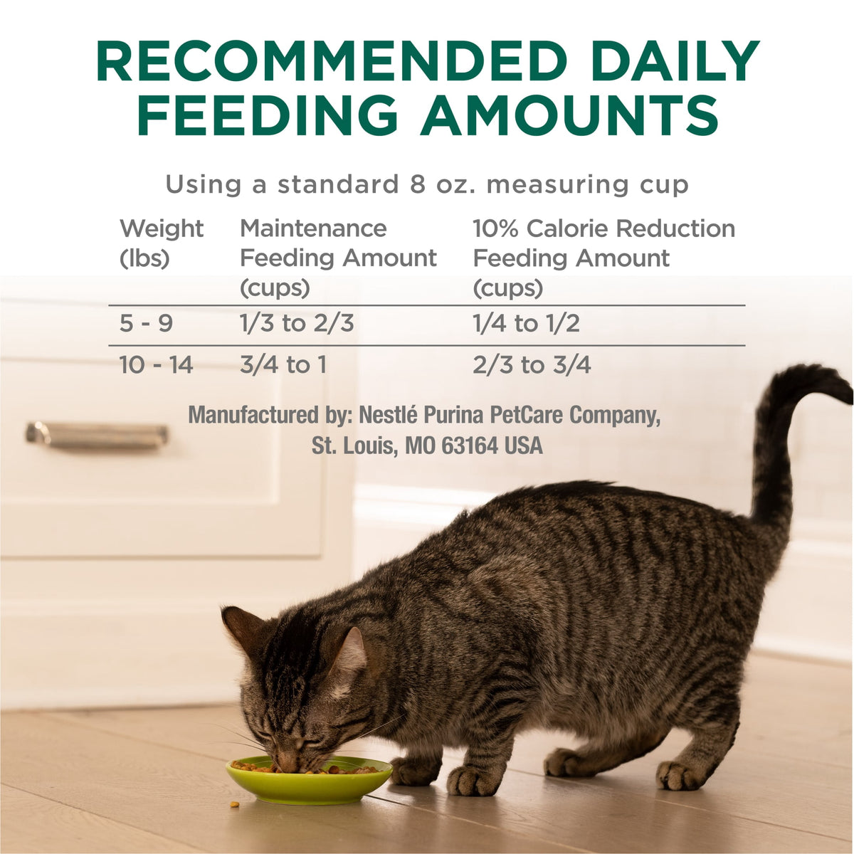 (2 pack) Purina Cat Chow Naturals, Indoor Dry Cat Food, Chicken & Turkey, 18 lb Bag