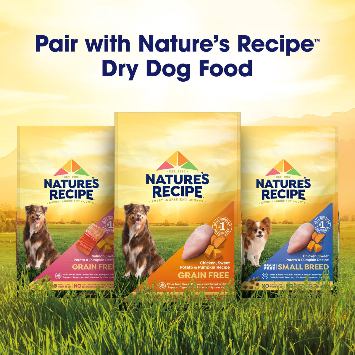 (3 pack) Nature's Recipe Savory Broth Grain Free Wet Dog Food Variety Pack, 2.75 oz Cups (12 Pack)