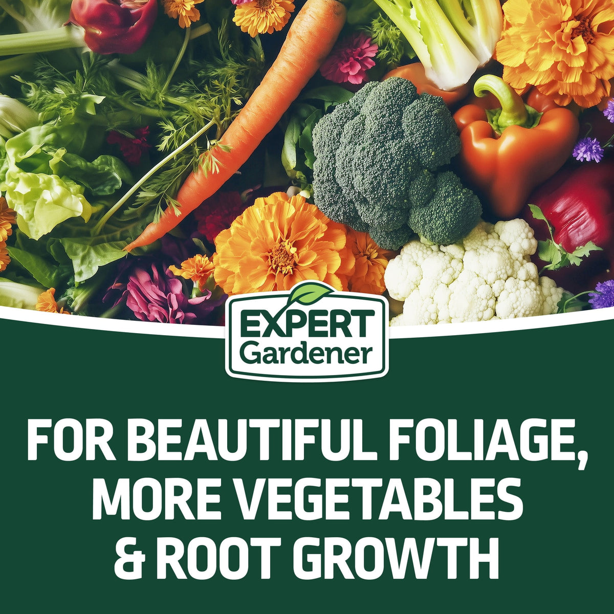 Expert Gardener All Purpose Plant Food Fertilizer, 16-16-16, 20 lb