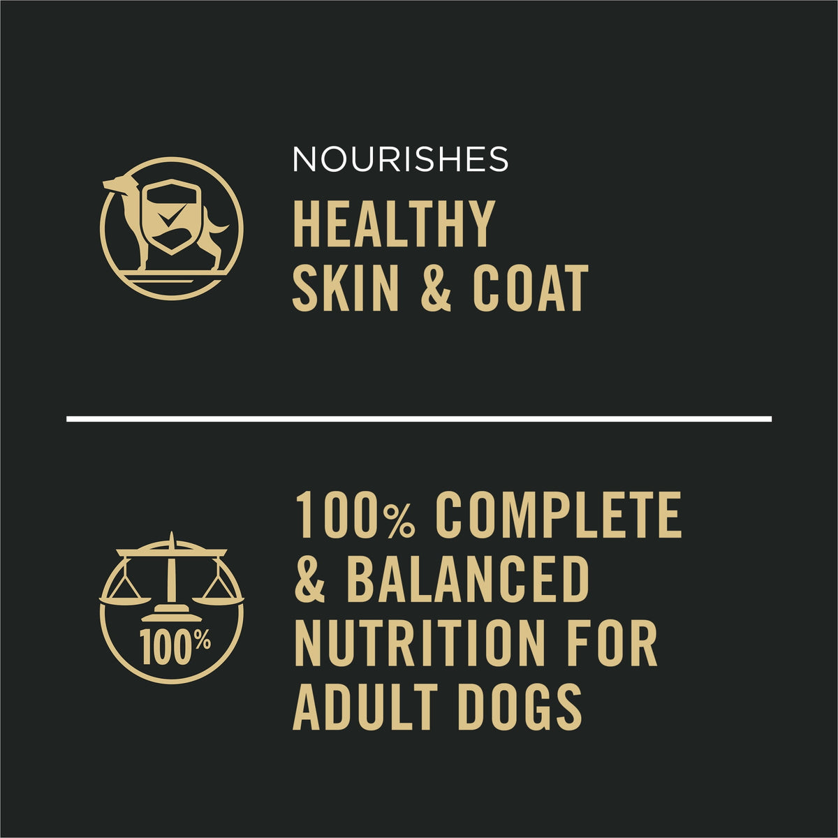 Purina Pro Plan Wet Grain Free Wet Dog Food Complete Essentials Variety Pack, Chicken and Carrots and Turkey and Sweet Potato Entrees, 13 oz Cans (12 Pack)