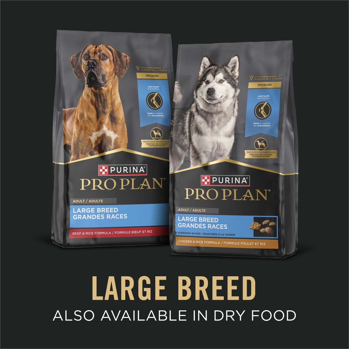 Purina Pro Plan Gravy Wet Large Breed Dog Food, Chicken and Rice Entrée, 13 oz Can