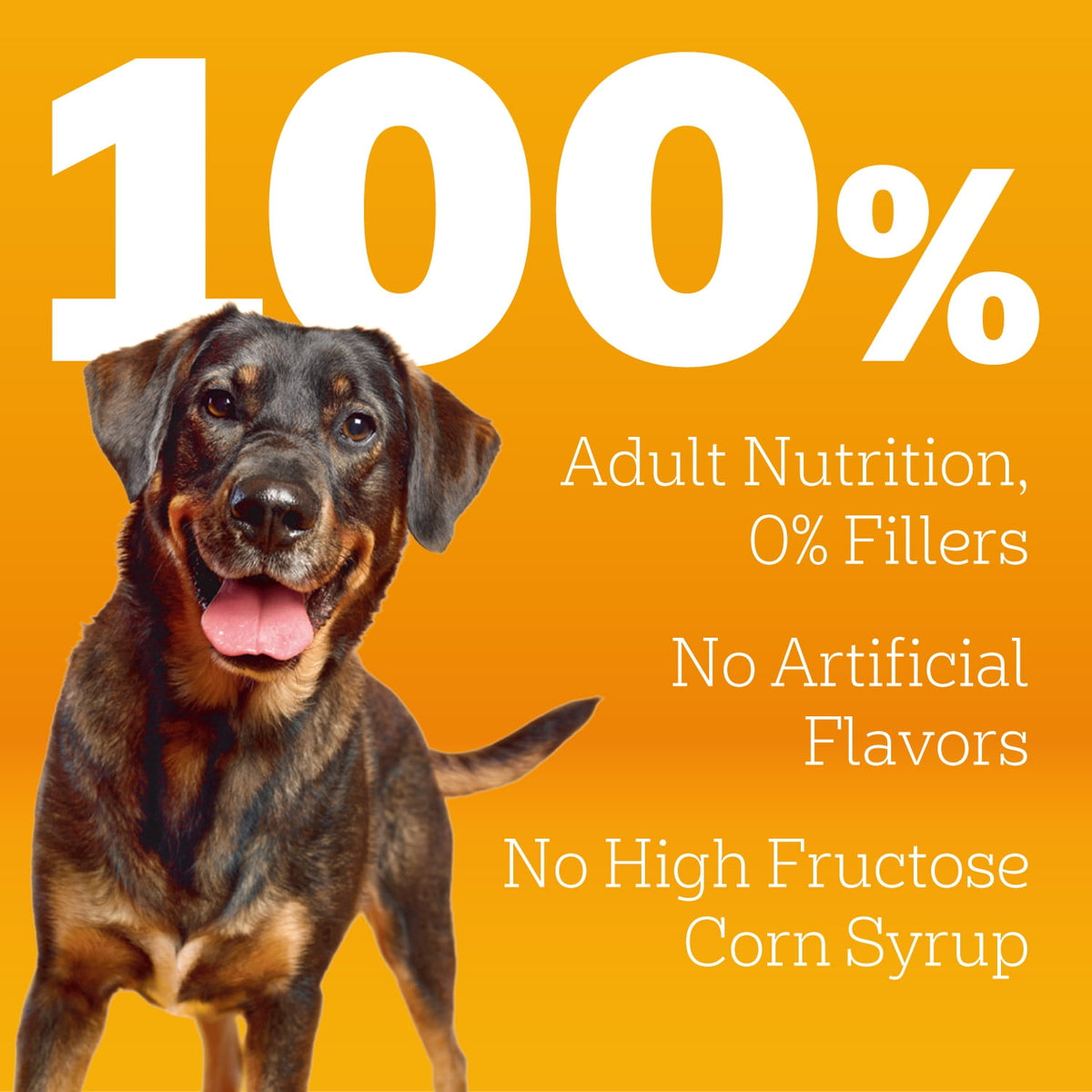 Pedigree Complete Nutrition Adult Dry Dog Food, Roasted Chicken & Vegetable Flavor, BONUS SIZE 44 lb. Bag