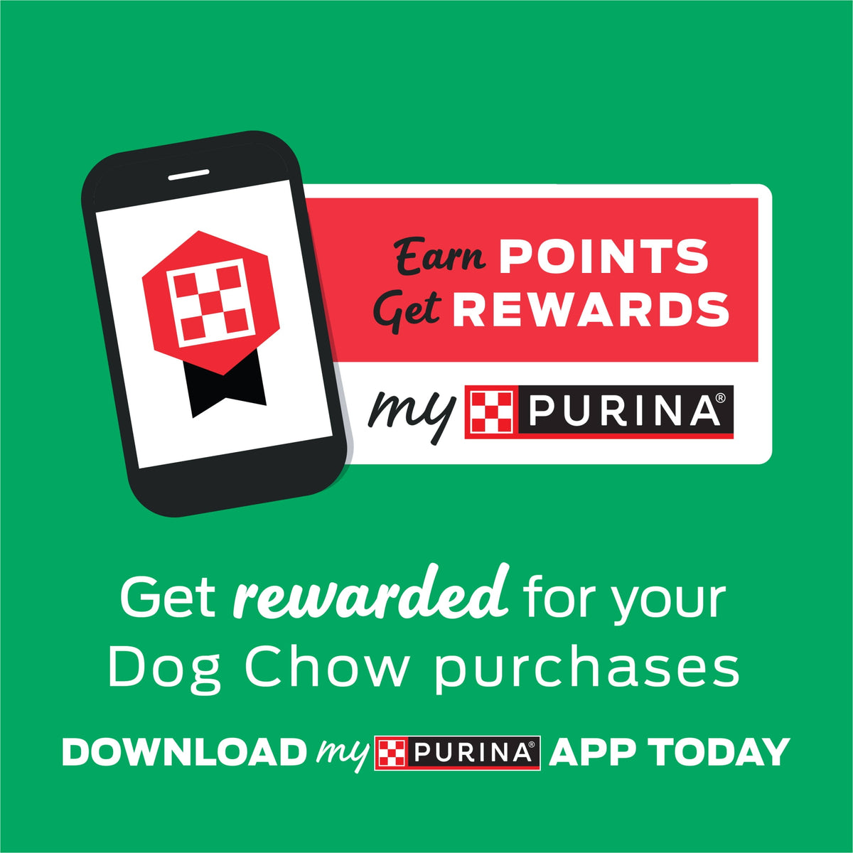 Purina Dog Chow Complete Dry Dog Food for Adult Dogs High Protein, Lamb, 44 lb Bag