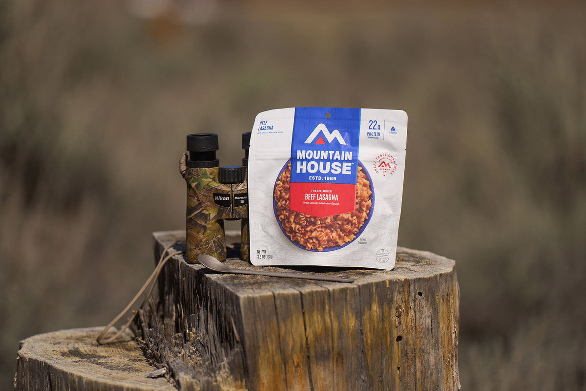 (4 pack) Mountain House Lasagna w/Meat Sauce, Freeze-Dried Camping & Backpacking Food, 2 Serving