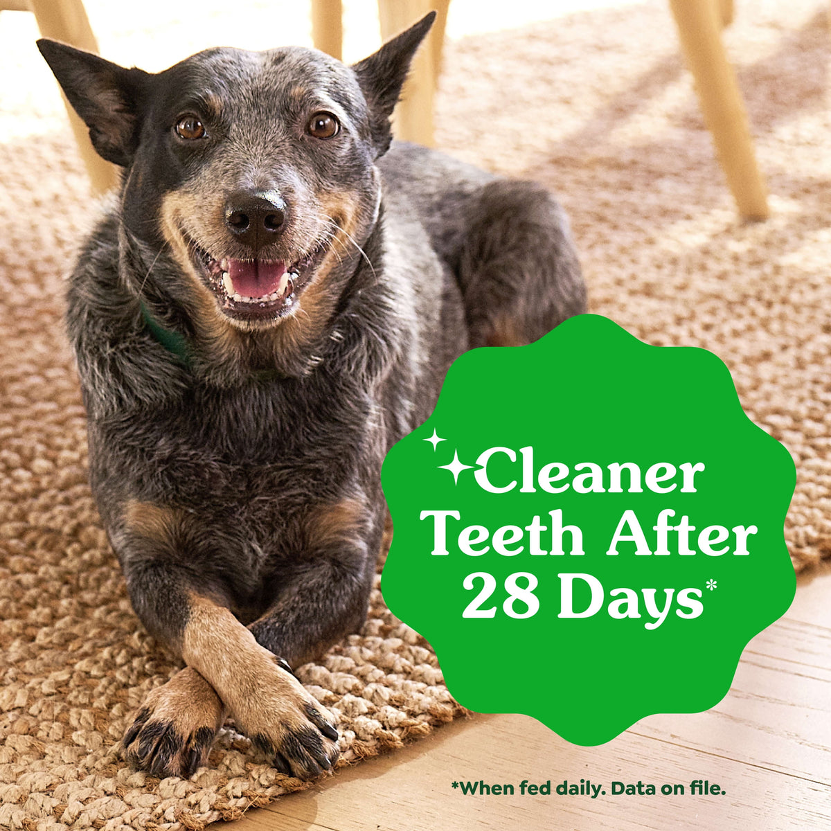 GREENIES Original Flavor Natural Dental Treat Chews for Medium-Sized Adult Dogs, 54 oz. Pack