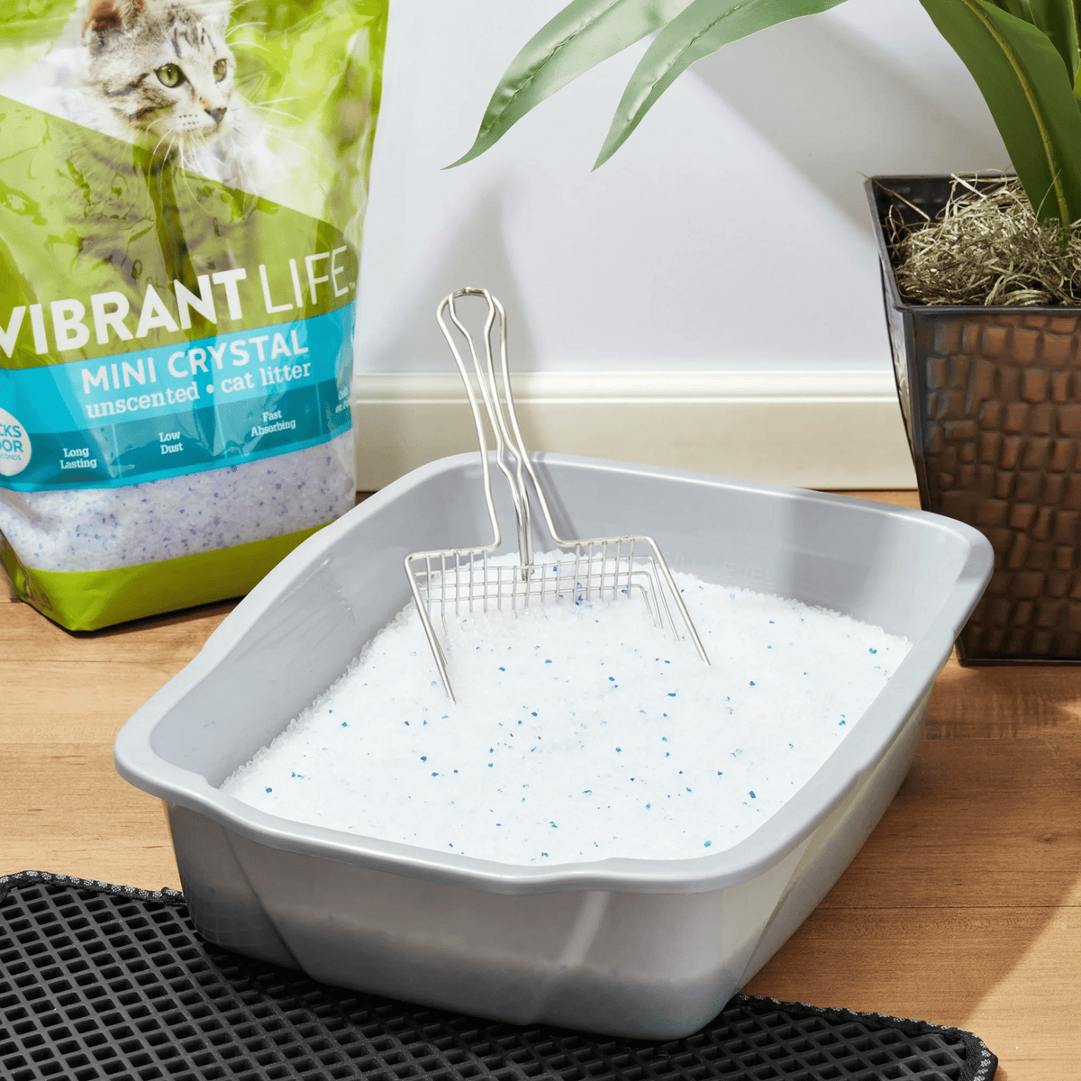 (4 pack) (4 pack) Vibrant Life Mini Crystal Cat Litter, Unscented, 8 lb Bag, 1 Count