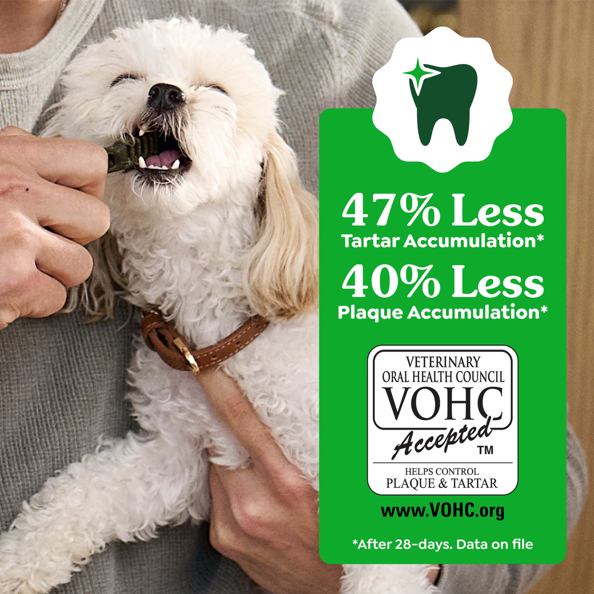 GREENIES Original Flavor Natural Dental Treat Chews for Medium-Sized Adult Dogs, 54 oz. Pack