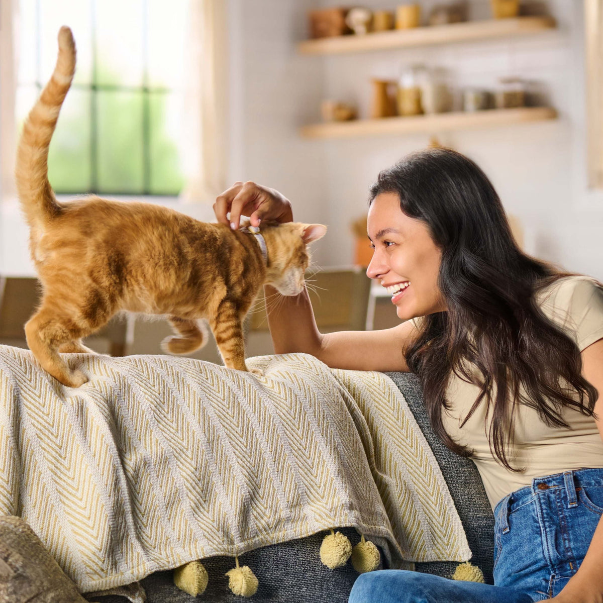 (2 pack) Meow Mix Original Choice Dry Cat Food, All Life Stages, Chicken, Turkey, Salmon & Ocean Fish Flavors, 30 lb Bag
