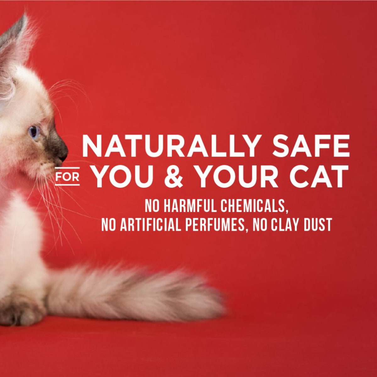 World's Best Cat Litter Ultra Absorb Unscented, Quick Clumping, Flushable, 32 lb Value Pack