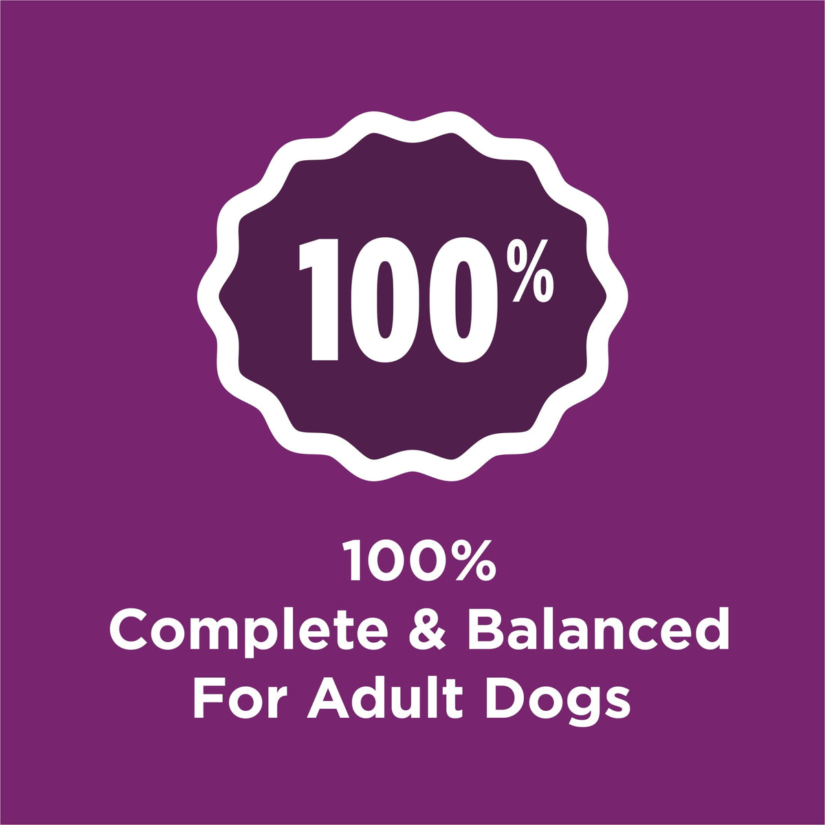 Purina Dog Chow Complete Dry Dog Food for Adult Dogs High Protein, Lamb, 44 lb Bag