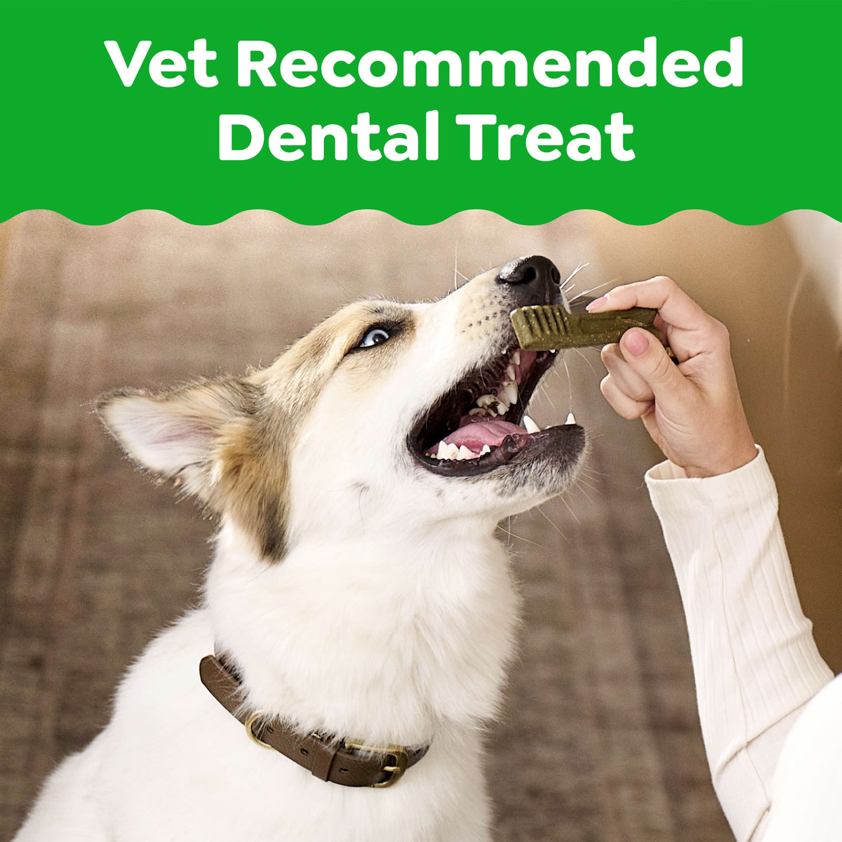 GREENIES Original Flavor Natural Dental Treat Chews for Medium-Sized Adult Dogs, 54 oz. Pack