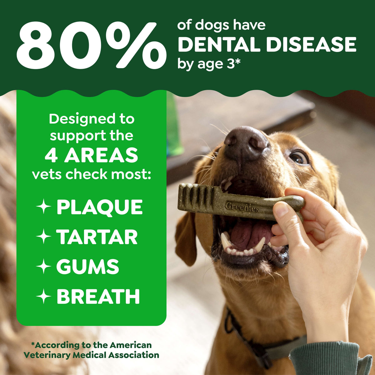 GREENIES Original Flavor Natural Dental Treat Chews for Medium-Sized Adult Dogs, 54 oz. Pack