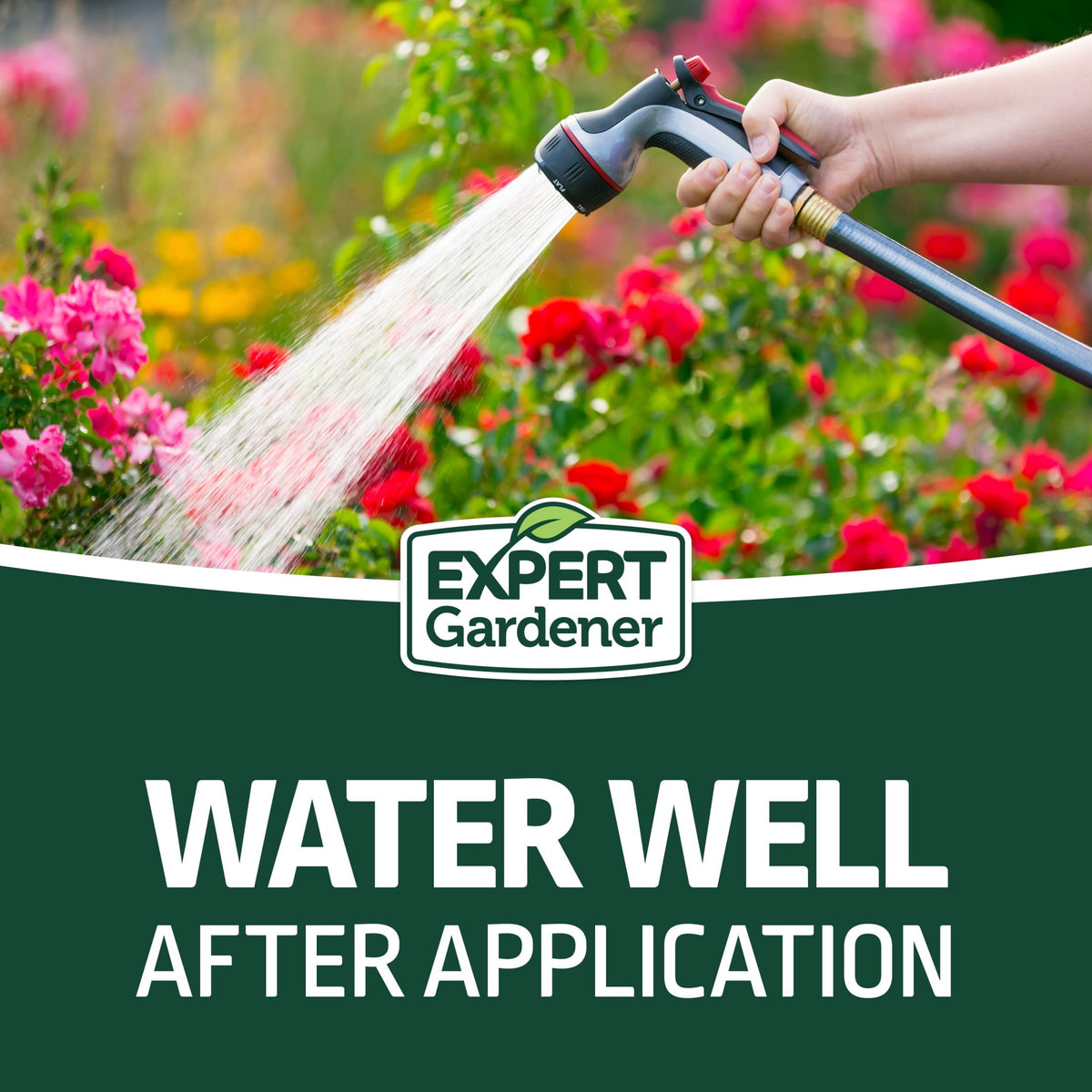 Expert Gardener All Purpose Plant Food Fertilizer, 16-16-16, 20 lb