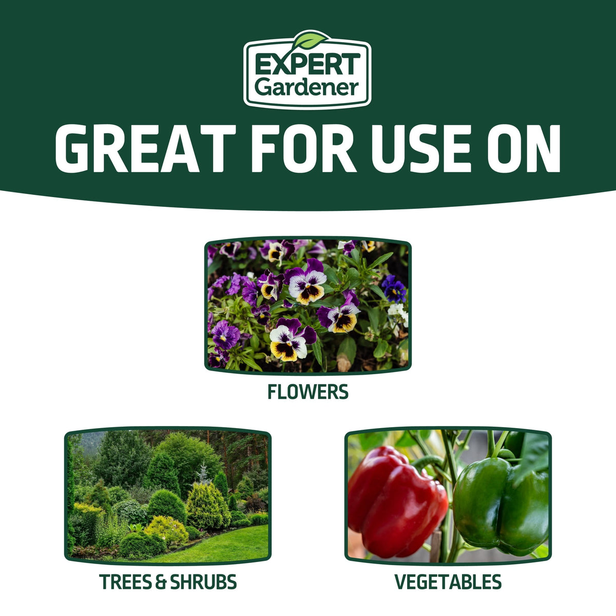 Expert Gardener All Purpose Plant Food Fertilizer, 16-16-16, 20 lb